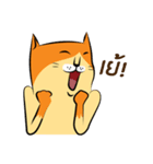 NaaDed-Orange cat（個別スタンプ：2）