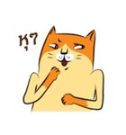 NaaDed-Orange cat（個別スタンプ：4）