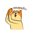 NaaDed-Orange cat（個別スタンプ：5）