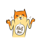 NaaDed-Orange cat（個別スタンプ：6）