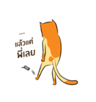 NaaDed-Orange cat（個別スタンプ：10）
