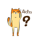 NaaDed-Orange cat（個別スタンプ：11）