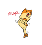 NaaDed-Orange cat（個別スタンプ：12）