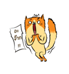 NaaDed-Orange cat（個別スタンプ：13）