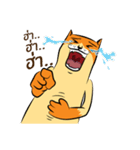 NaaDed-Orange cat（個別スタンプ：14）