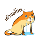 NaaDed-Orange cat（個別スタンプ：15）