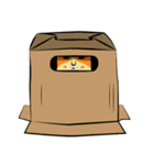 NaaDed-Orange cat（個別スタンプ：17）