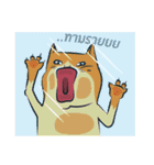 NaaDed-Orange cat（個別スタンプ：18）