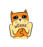 NaaDed-Orange cat（個別スタンプ：20）