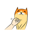 NaaDed-Orange cat（個別スタンプ：22）