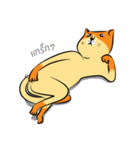 NaaDed-Orange cat（個別スタンプ：23）