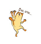 NaaDed-Orange cat（個別スタンプ：24）