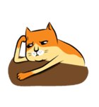 NaaDed-Orange cat（個別スタンプ：25）
