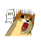 NaaDed-Orange cat（個別スタンプ：29）