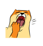 NaaDed-Orange cat（個別スタンプ：33）