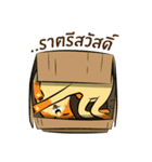 NaaDed-Orange cat（個別スタンプ：35）