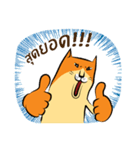 NaaDed-Orange cat（個別スタンプ：37）