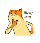 NaaDed-Orange cat（個別スタンプ：38）
