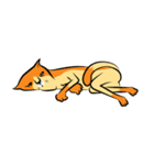 NaaDed-Orange cat（個別スタンプ：39）