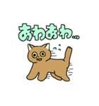 子猫のゆるスタンプ（個別スタンプ：13）