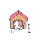 ぬいぐるみ動物の夏スタンプ（個別スタンプ：36）