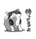 モフれょ2（個別スタンプ：4）