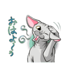 モフれょ2（個別スタンプ：5）