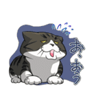 モフれょ2（個別スタンプ：19）