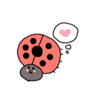 虫がいっぱいスタンプ（個別スタンプ：22）