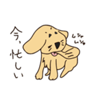 チュチオ（個別スタンプ：24）