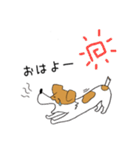 ジャックラッセルテリアのどんぐりさん（個別スタンプ：1）