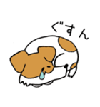 ジャックラッセルテリアのどんぐりさん（個別スタンプ：18）