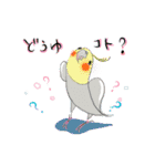 インコ大好き！ いきいきインコスタンプ（個別スタンプ：1）