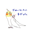 インコ大好き！ いきいきインコスタンプ（個別スタンプ：2）