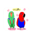 インコ大好き！ いきいきインコスタンプ（個別スタンプ：9）