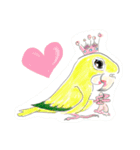 インコ大好き！ いきいきインコスタンプ（個別スタンプ：11）