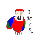インコ大好き！ いきいきインコスタンプ（個別スタンプ：15）