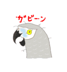 インコ大好き！ いきいきインコスタンプ（個別スタンプ：19）