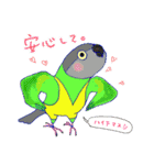 インコ大好き！ いきいきインコスタンプ（個別スタンプ：21）