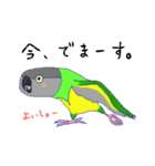 インコ大好き！ いきいきインコスタンプ（個別スタンプ：23）