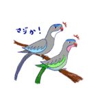 インコ大好き！ いきいきインコスタンプ（個別スタンプ：26）