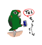 インコ大好き！ いきいきインコスタンプ（個別スタンプ：27）