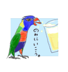 インコ大好き！ いきいきインコスタンプ（個別スタンプ：28）