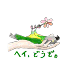 インコ大好き！ いきいきインコスタンプ（個別スタンプ：30）