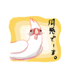 インコ大好き！ いきいきインコスタンプ（個別スタンプ：33）