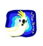 インコ大好き！ いきいきインコスタンプ（個別スタンプ：34）