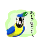 インコ大好き！ いきいきインコスタンプ（個別スタンプ：35）
