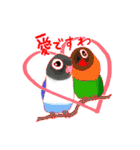 インコ大好き！ いきいきインコスタンプ（個別スタンプ：38）