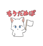 しろにゃんこ～～（個別スタンプ：11）
