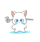 しろにゃんこ～～（個別スタンプ：13）